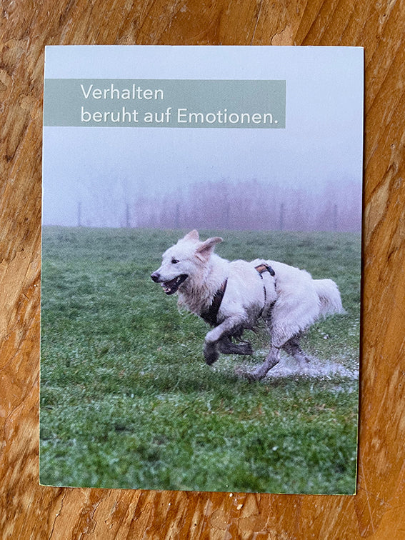 Postkarte Verhalten beruht auf Emotionen